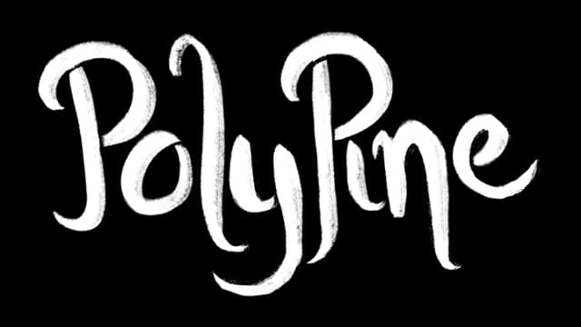 Brush-stroke font with playful leaf accents and flowing script style.