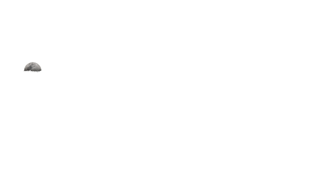 Pixelated block font with a moon as the first letter's hole accent.