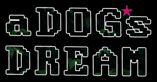 a Dogs Dream: chunky pixel font with thick cream outline and magenta splatter accent.