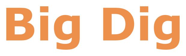 Big Dig: Bold rounded sans-serif wordmark with slight drop shadow and wide spacing.