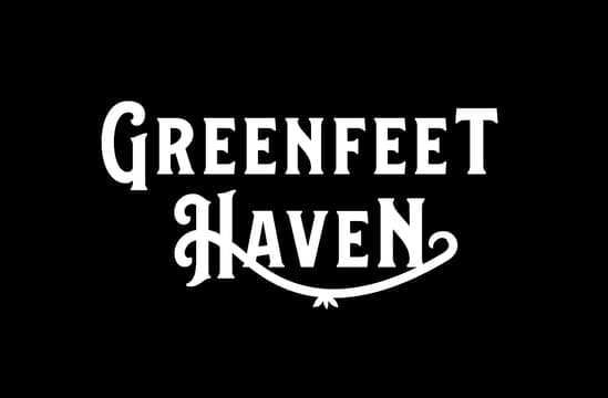 Bold serif font with curled flourishes, rustic charm, evokes fantasy and adventure.