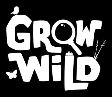 Grow Wild: Bold hand-painted lettering with rough edges, tree sprout and branch accents.