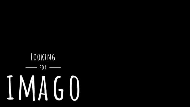Rounded, handwritten font with thin, horizontal line accents.