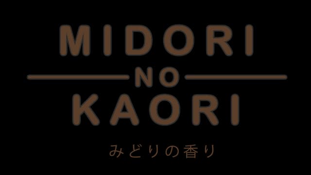 Bold, rounded font with thin outlines; horizontal lines accentuate "No".