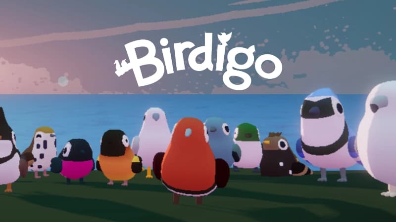 A diverse group of colorful cartoon birds stands on grass by the sea, under a sky at sunset.