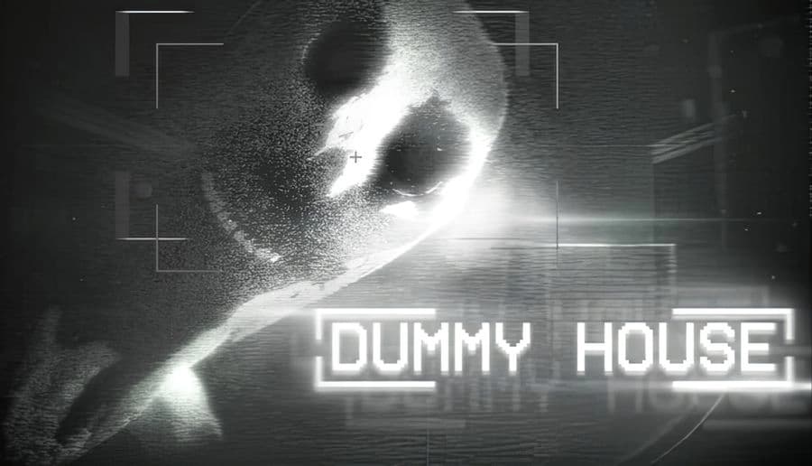 DUMMY HOUSE: Ghostly human face lit by a camera flash, harsh glare and grainy viewfinder overlay in darkness.