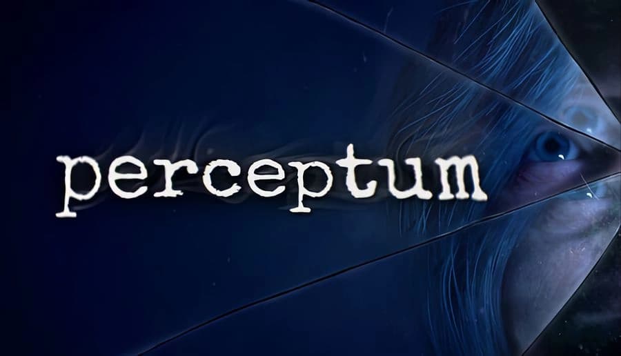 Perceptum: close-up of a blue human eye framed by hair, reflected across cracked mirror shards in darkness.