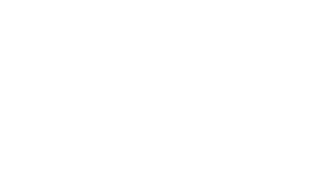 The Merry Fairy