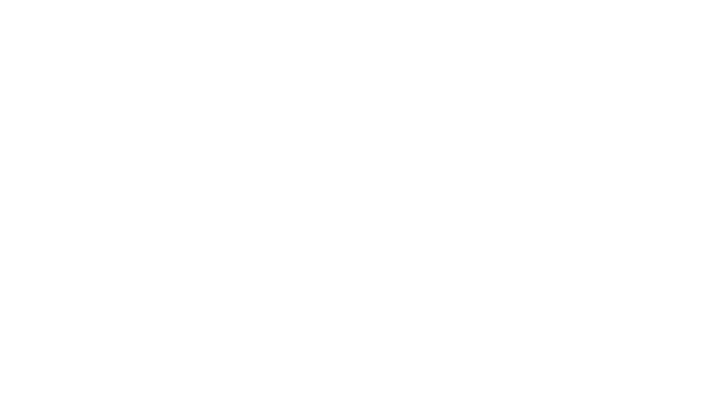 VOIN