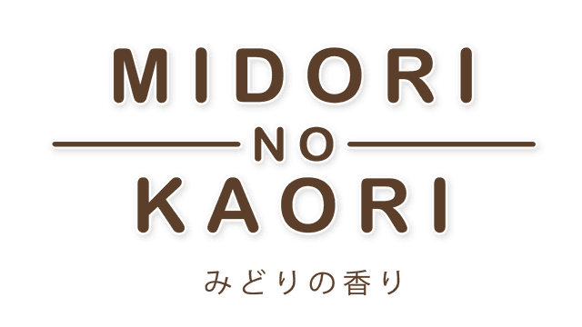 Bold, rounded font with thin outlines; horizontal lines accentuate "No".
