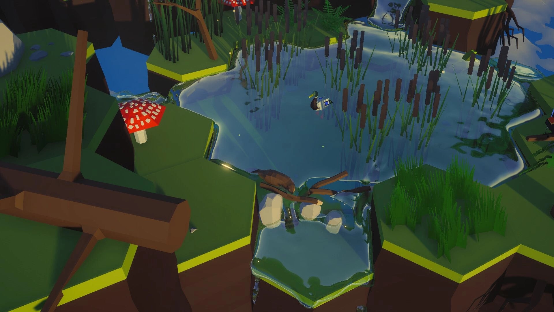 Beaver Creek: Beaver blocks a stream with logs and rocks beside a pond with reeds and mushrooms.