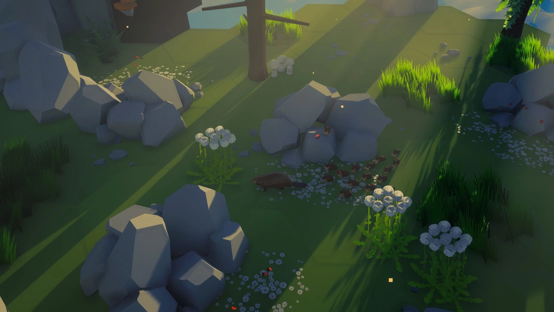 Beaver Creek: Beaver by scattered logs and rocks in a sunlit grassy clearing with wildflowers.