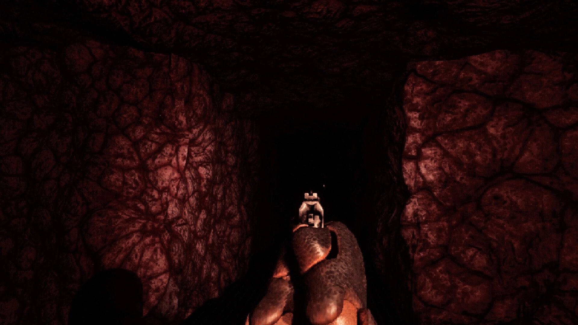 Crazy Neighbour: First-person view aiming a pistol into a dark stone tunnel with heavy red lighting.