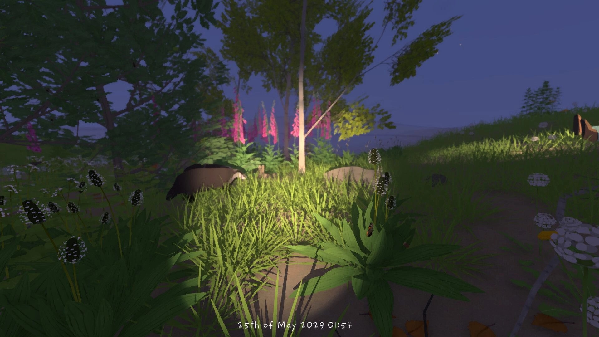 Grow Wild: Nighttime meadow with trees, wildflowers, and a badger; date/time overlay at bottom.