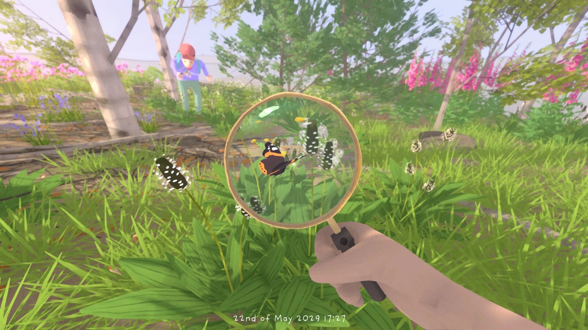 Grow Wild: Magnifying glass inspecting a butterfly on spotted plants in a sunny wildflower meadow.