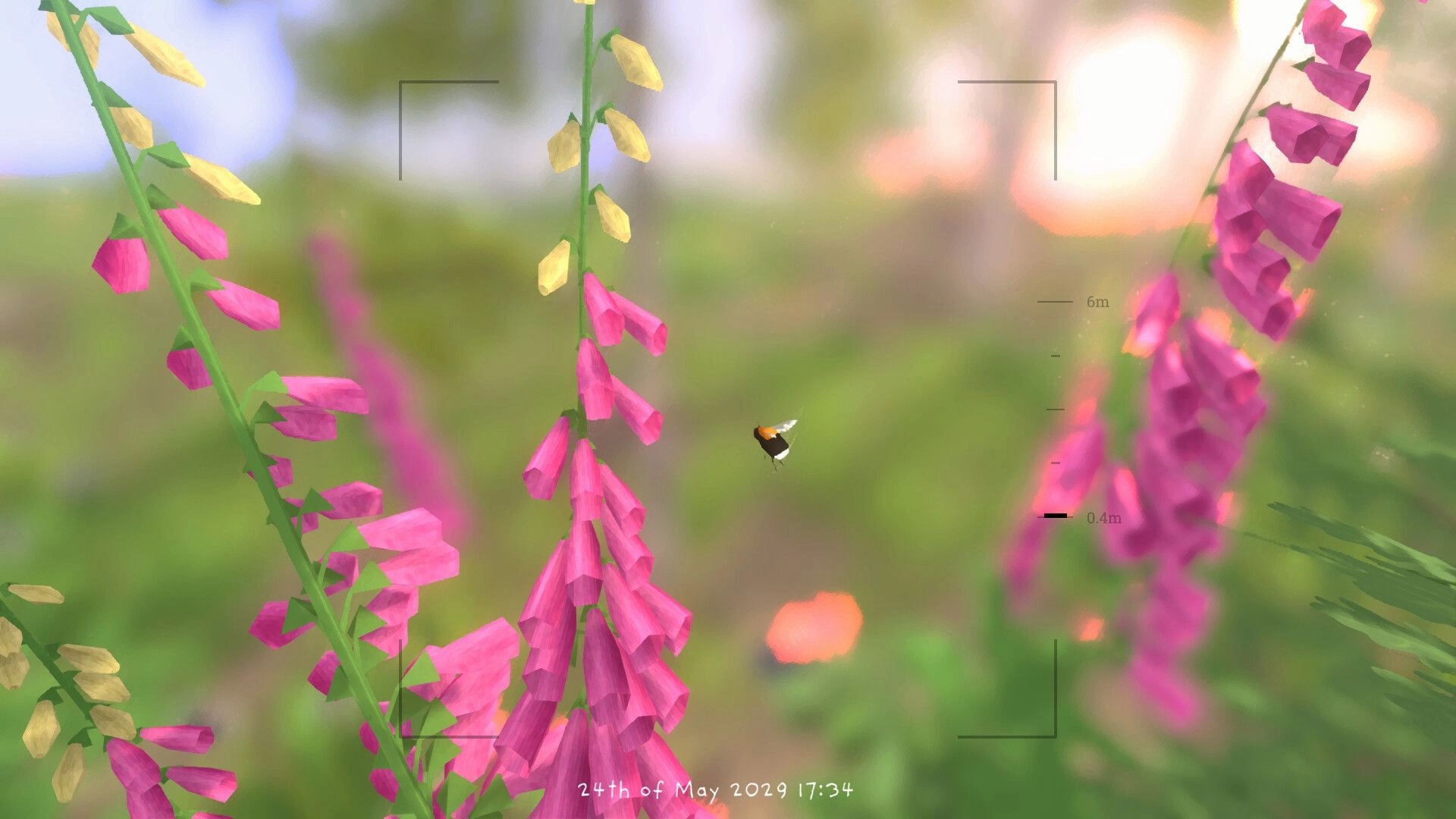Grow Wild: Photo mode focuses on a bee hovering by pink foxglove blooms in a blurred meadow.