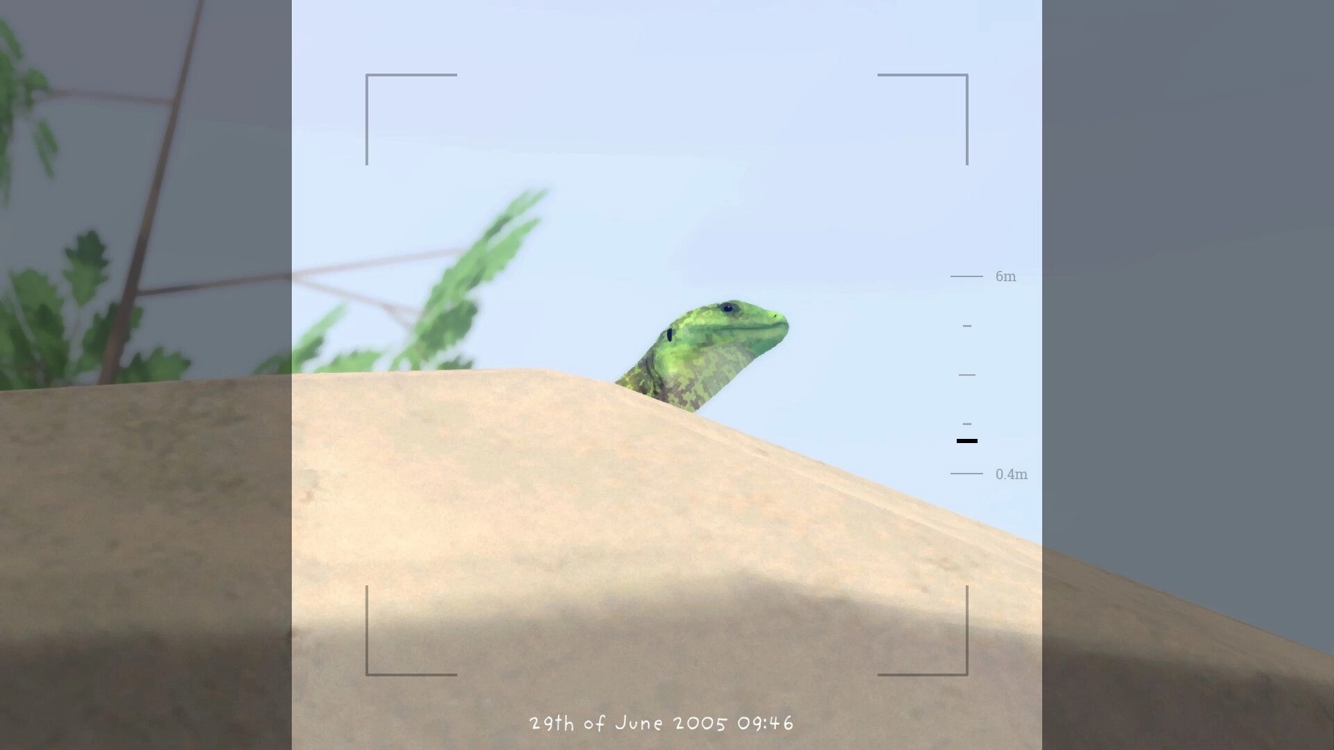 Grow Wild: Camera view zoomed on a green lizard peeking over sandy rock with distance scale UI.