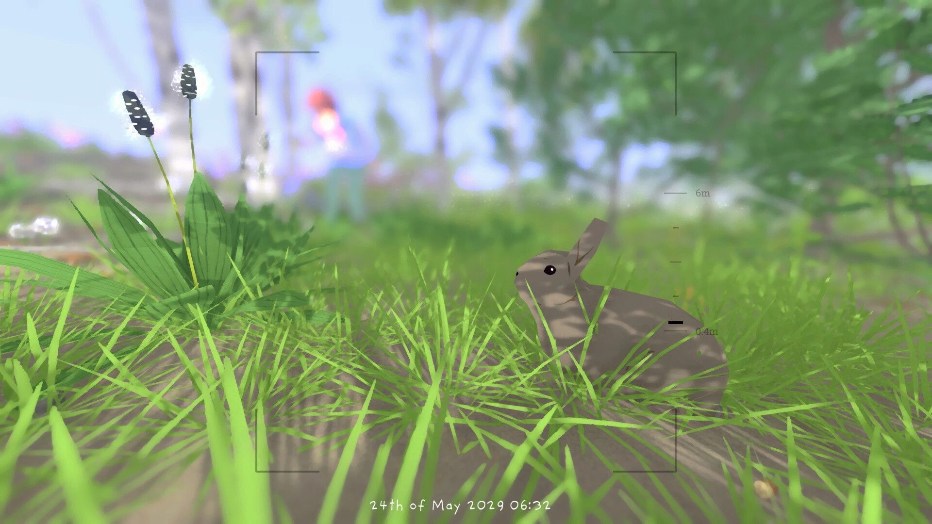 Grow Wild: Camera view framing a rabbit in tall grass beside wildflowers in a sunlit meadow.