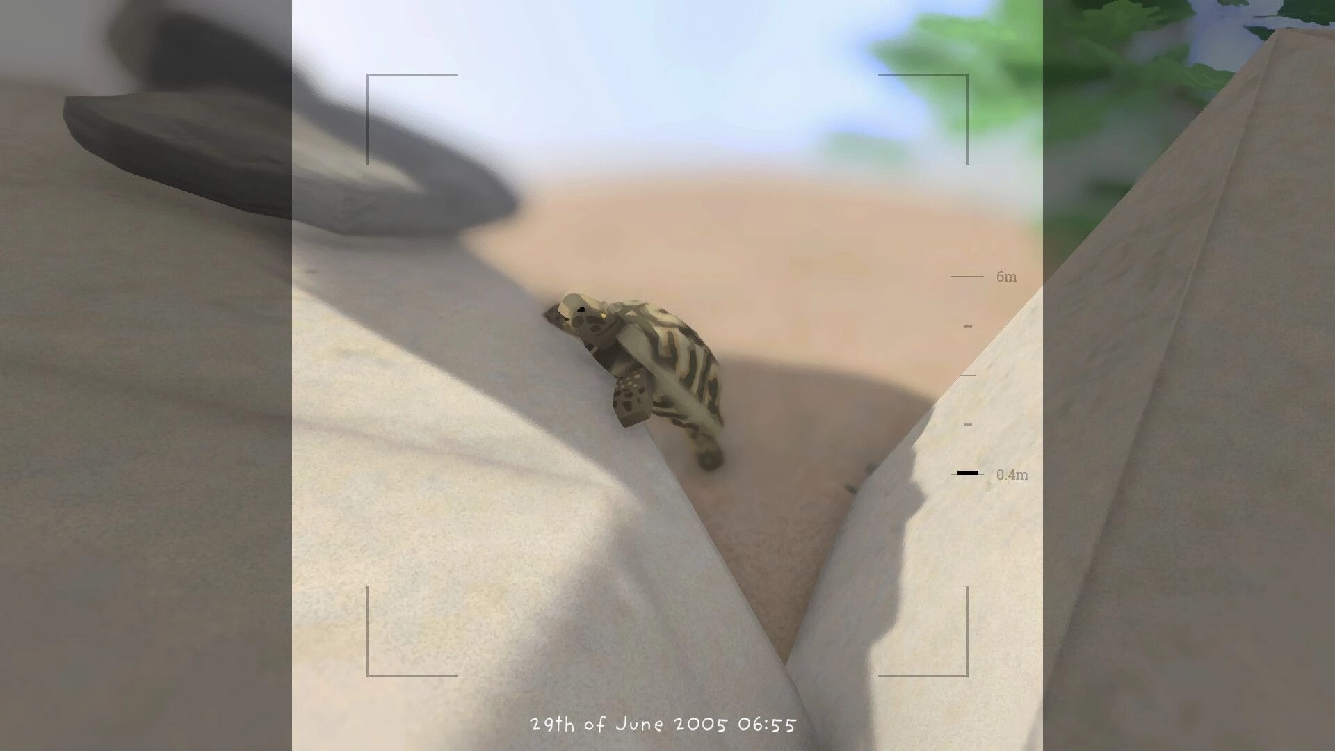 Grow Wild: Camera view tracking a sea turtle on sandy shore between rocks with distance scale UI.