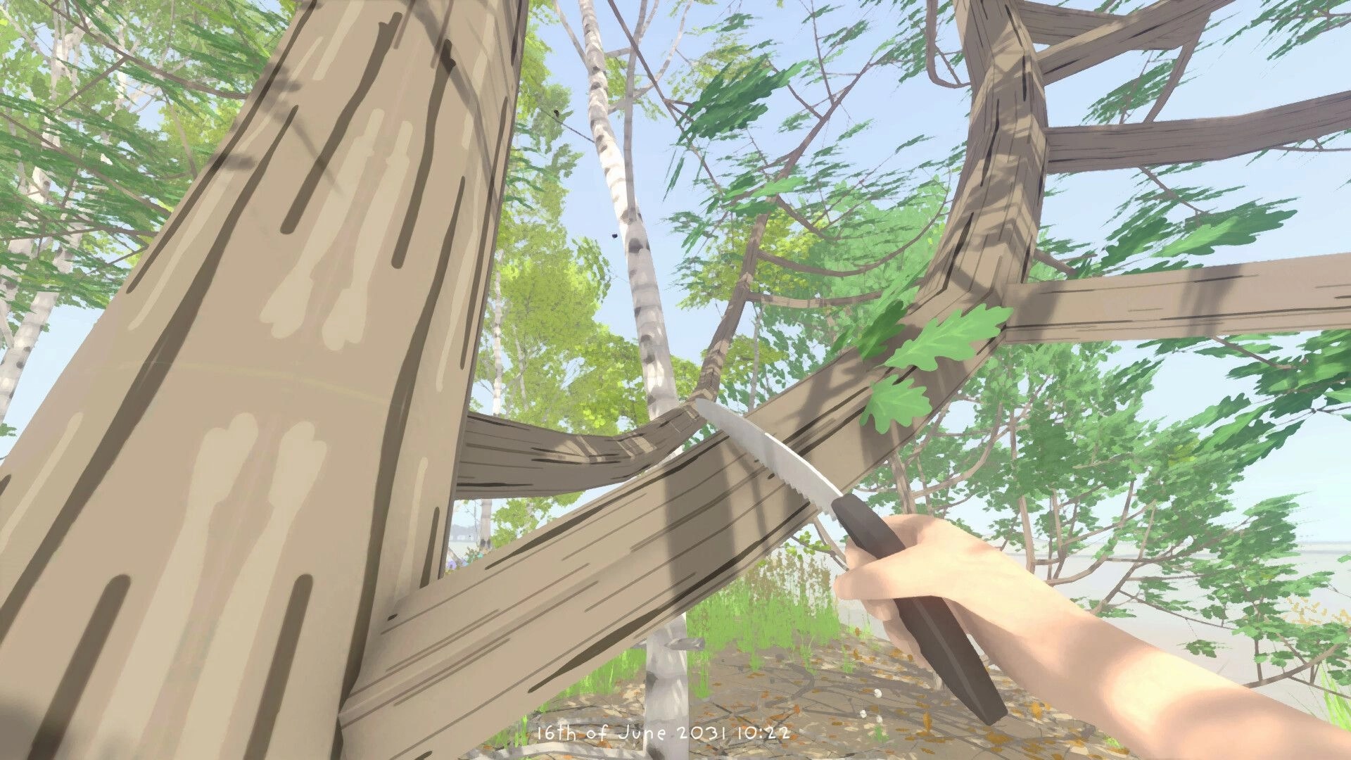 Grow Wild: First-person pruning a tree branch with a knife in a sunlit woodland grove.