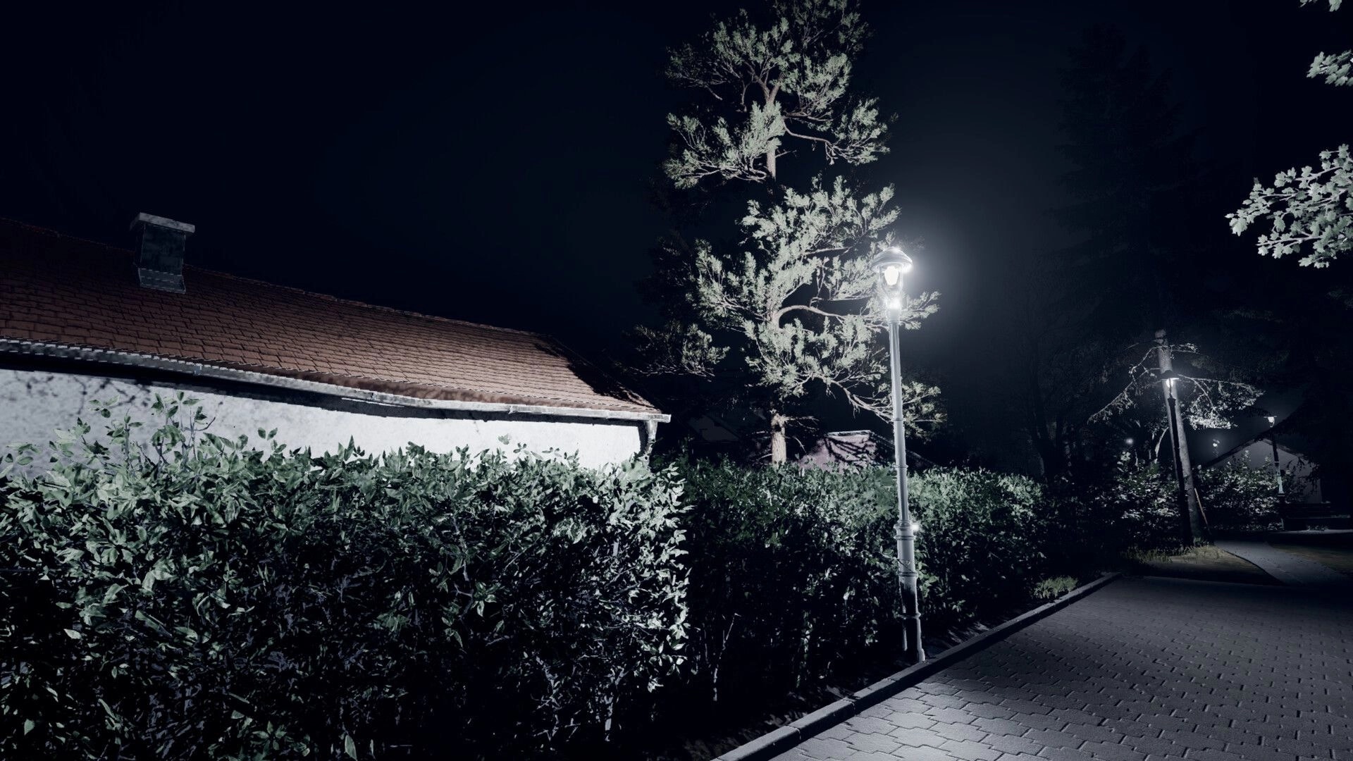 Nachtschicht: Dimly lit path with streetlights, surrounded by trees and a house under the night sky.