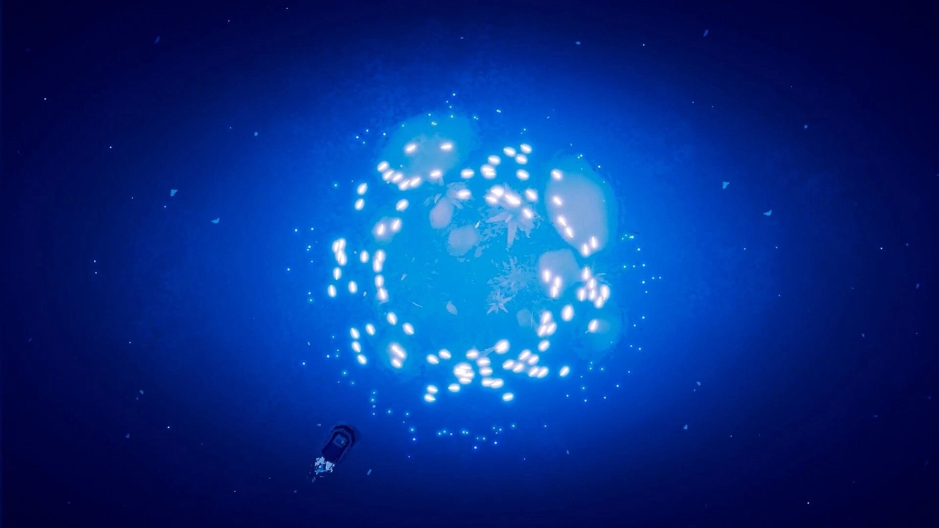 Shippin: Small boat sails toward glowing lights illuminating the deep, mysterious blue ocean.