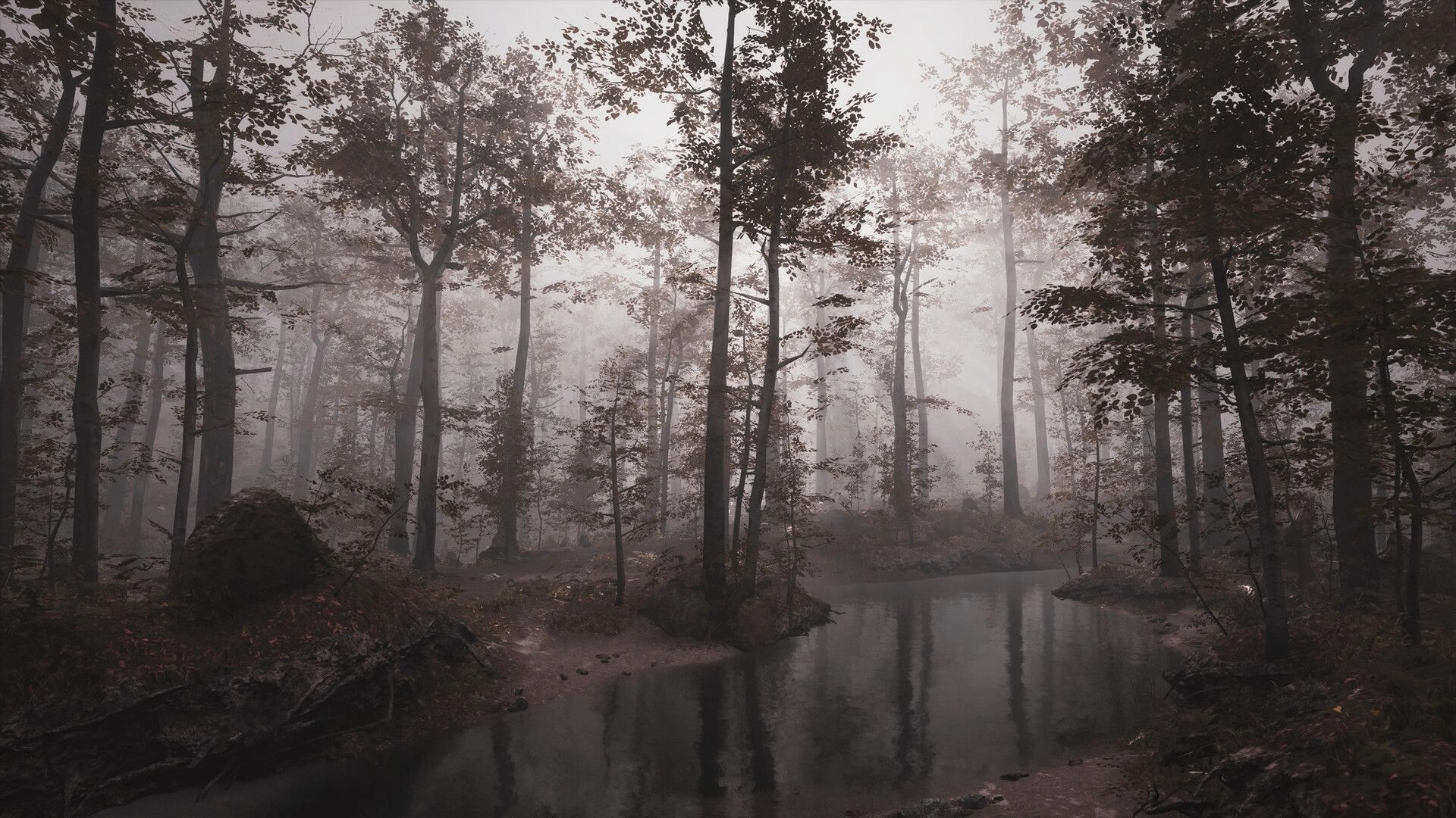 UNHOST: Foggy forest creek with tall trees and reflections in still water under gray light.