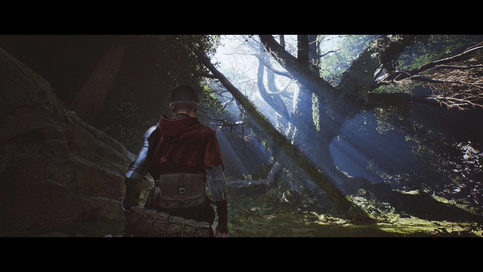 1348 Ex Voto: Third-person knight stands amid fallen trees and sunbeams in a dense forest clearing.