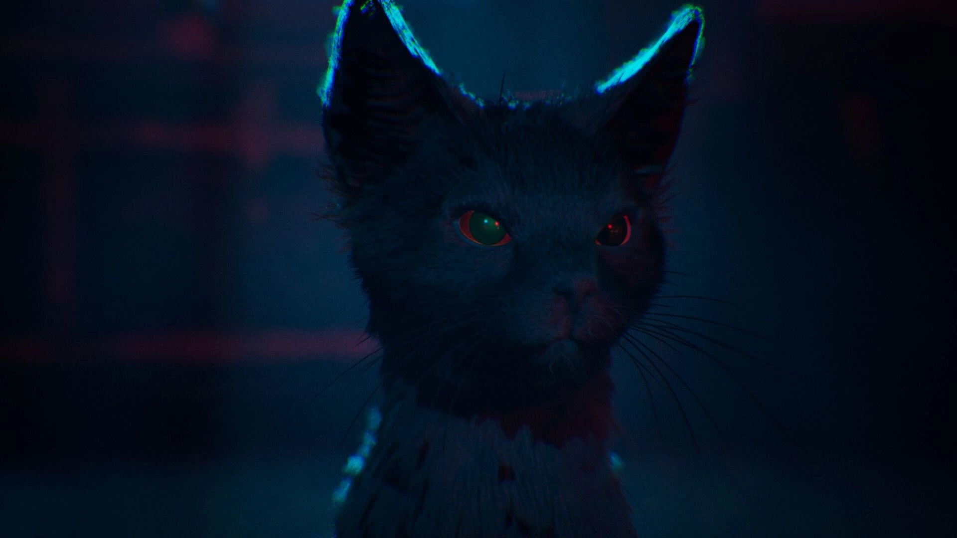 1666: Close-up of a black cat with glowing red and green eyes in a dark, blurred night scene.