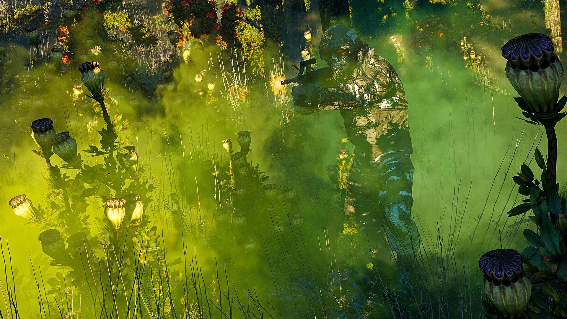 Active Matter: Soldier in camouflage aims rifle through dense green fog in a lush forest environment