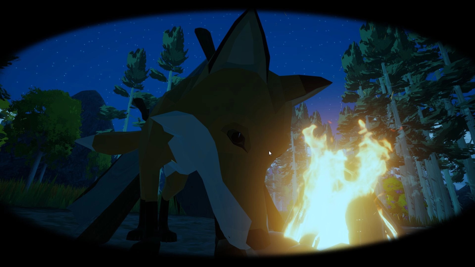 Akiiwan: Close-up of a fox beside a bright campfire at night in a pine forest under stars.