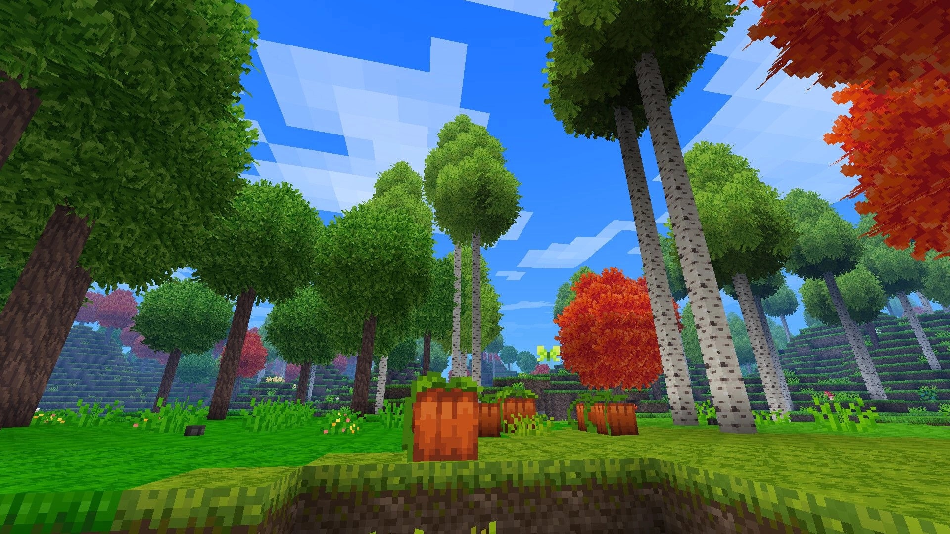 Allumeria: Vibrant forest scene with diverse trees and pumpkins in a colorful, blocky environment
