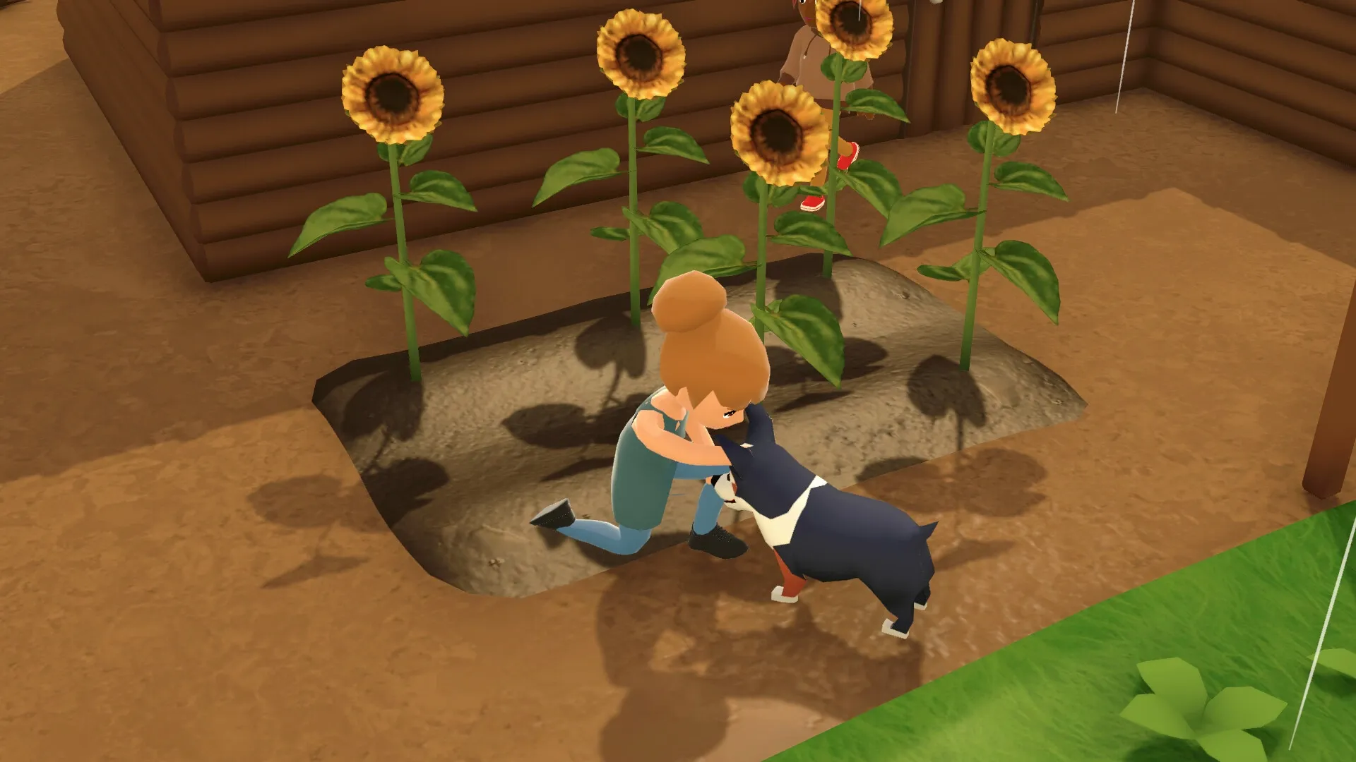 Alpine Lake: Character kneeling to pet a dog beside blooming sunflowers in a rustic garden setting.