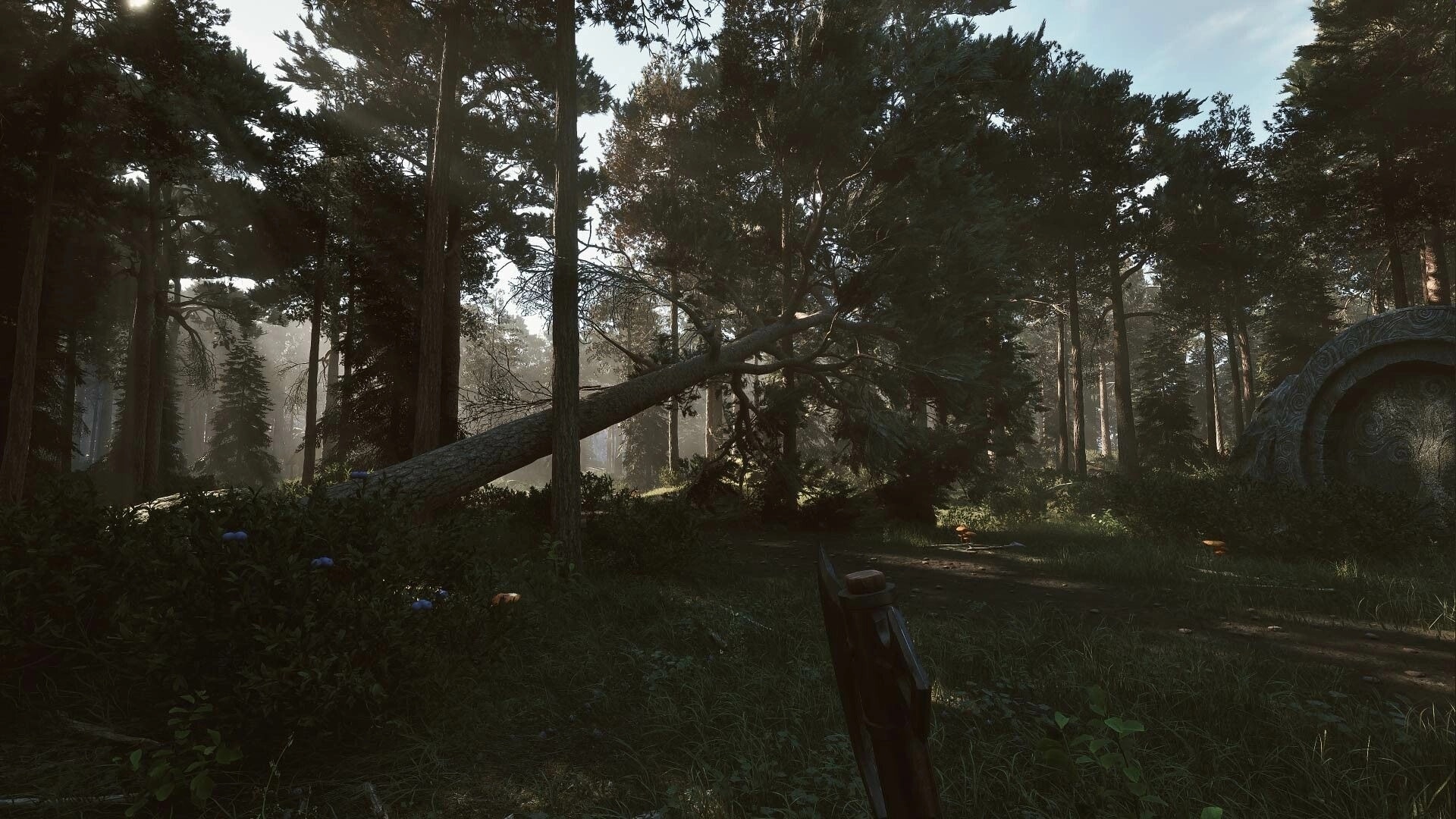Among the Trolls: Dense Finnish forest with a fallen tree and ancient carved stone in the background