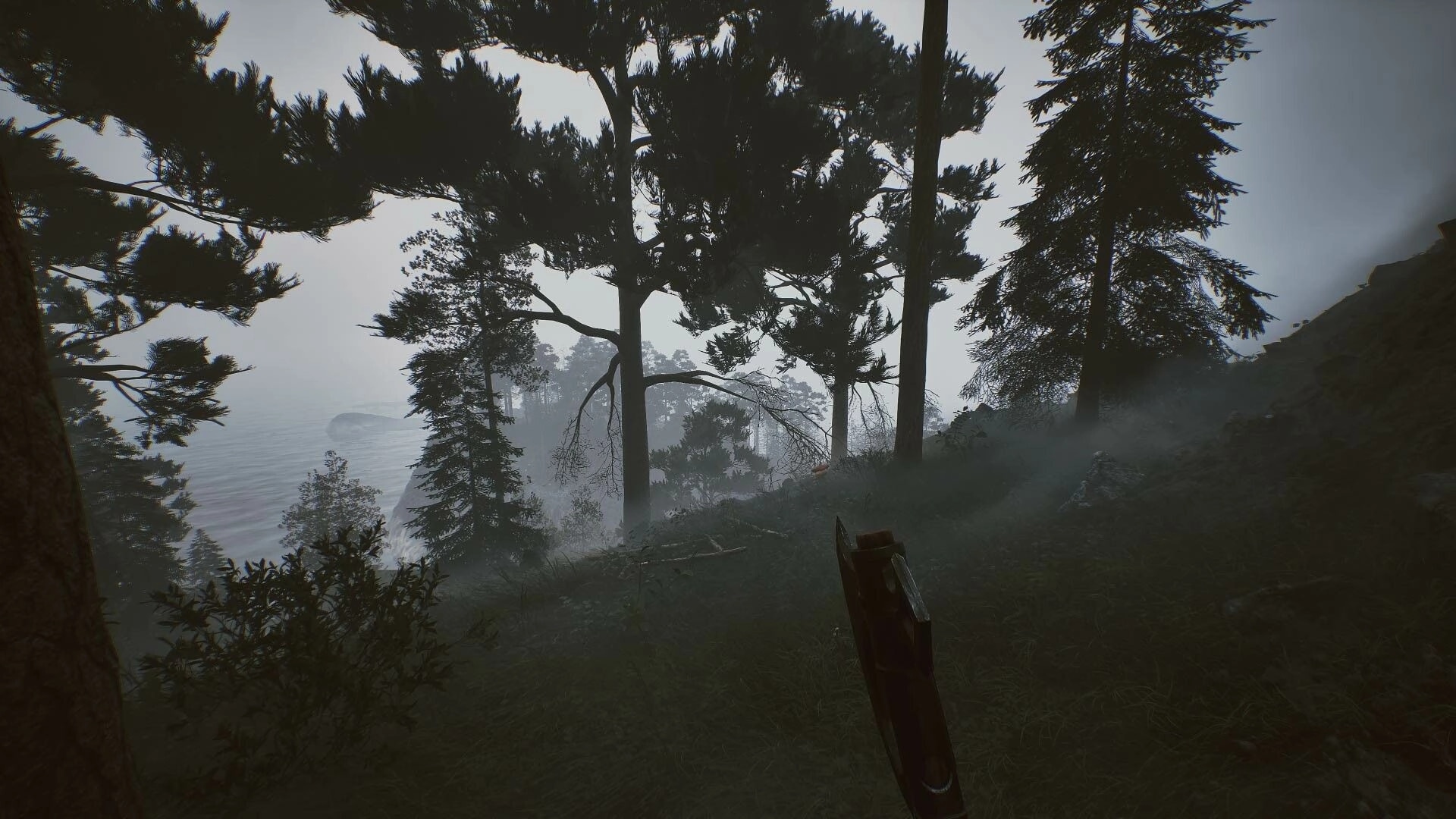Among the Trolls: Exploring misty Finnish forest with axe equipped, overlooking a foggy lakeside.