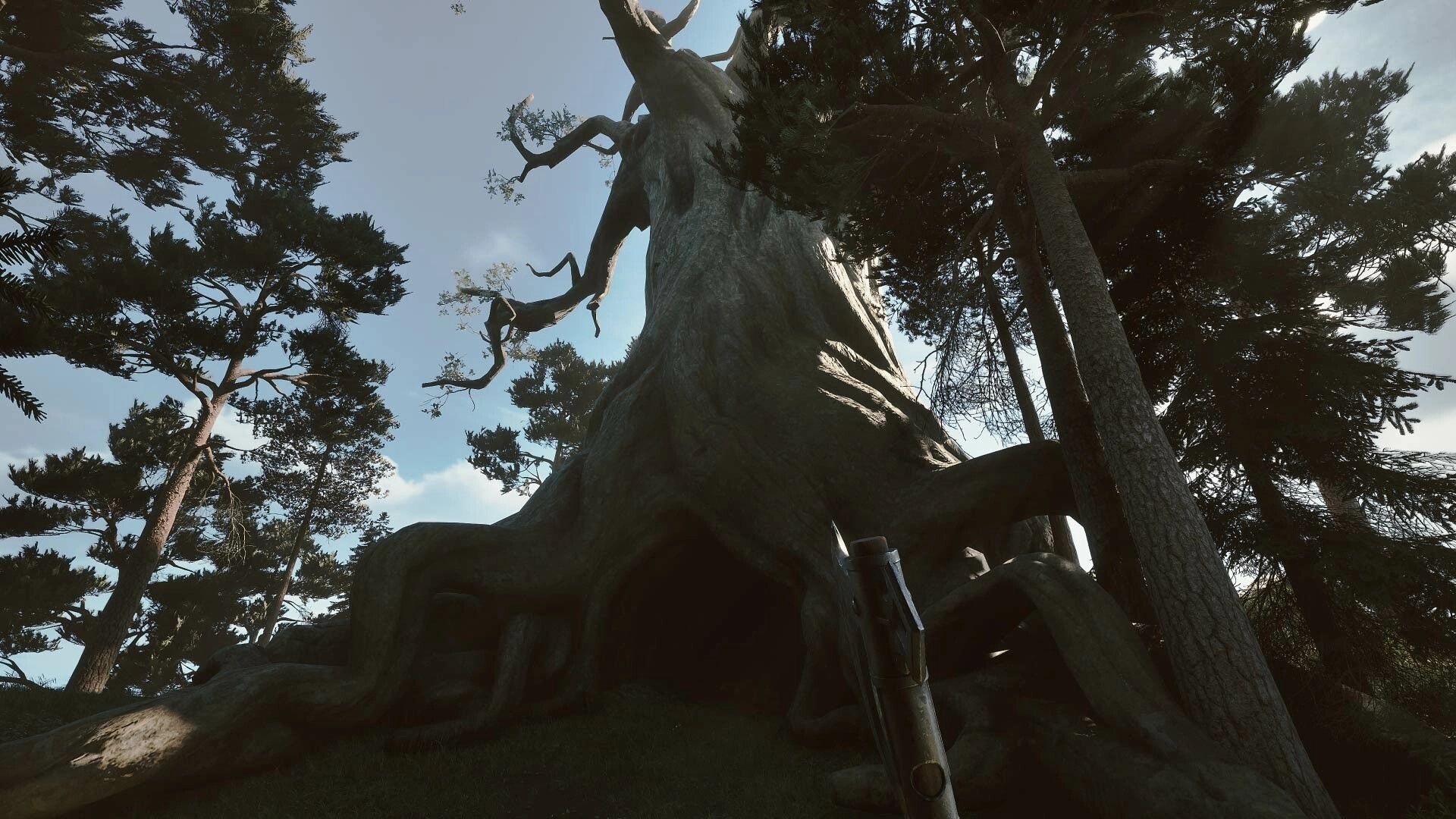 Among the Trolls: Exploring a giant ancient tree in the dense Finnish forest with a rifle in view.