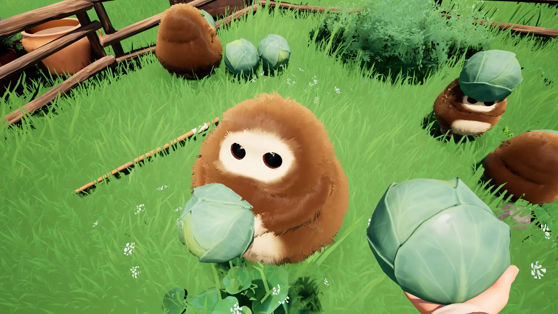 AMONG THE WILD: Wrangling fuzzy creatures with cabbages in a grassy farm setting.