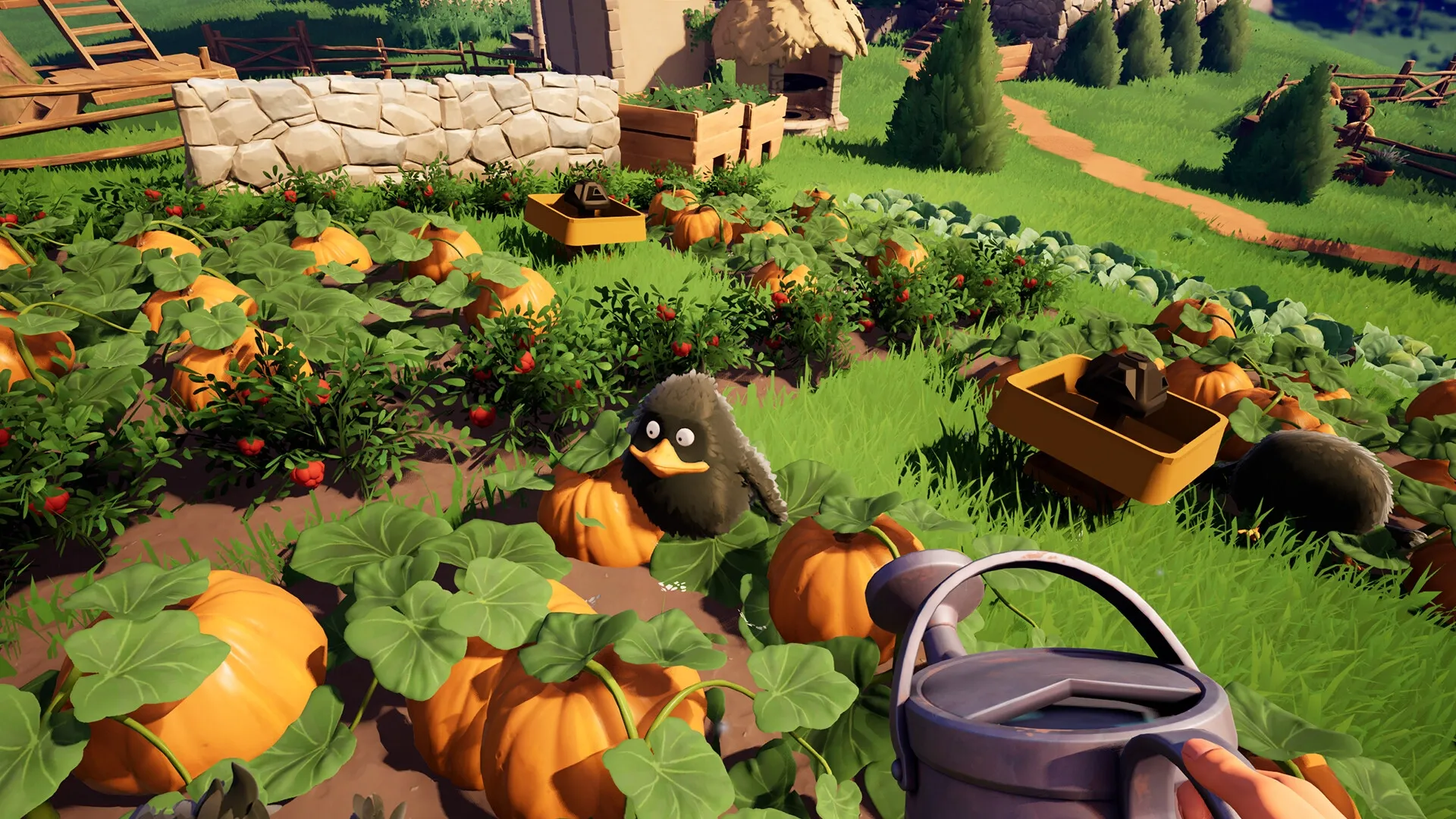 AMONG THE WILD: Watering pumpkins while a small creature hides among the plants on a vibrant farm.