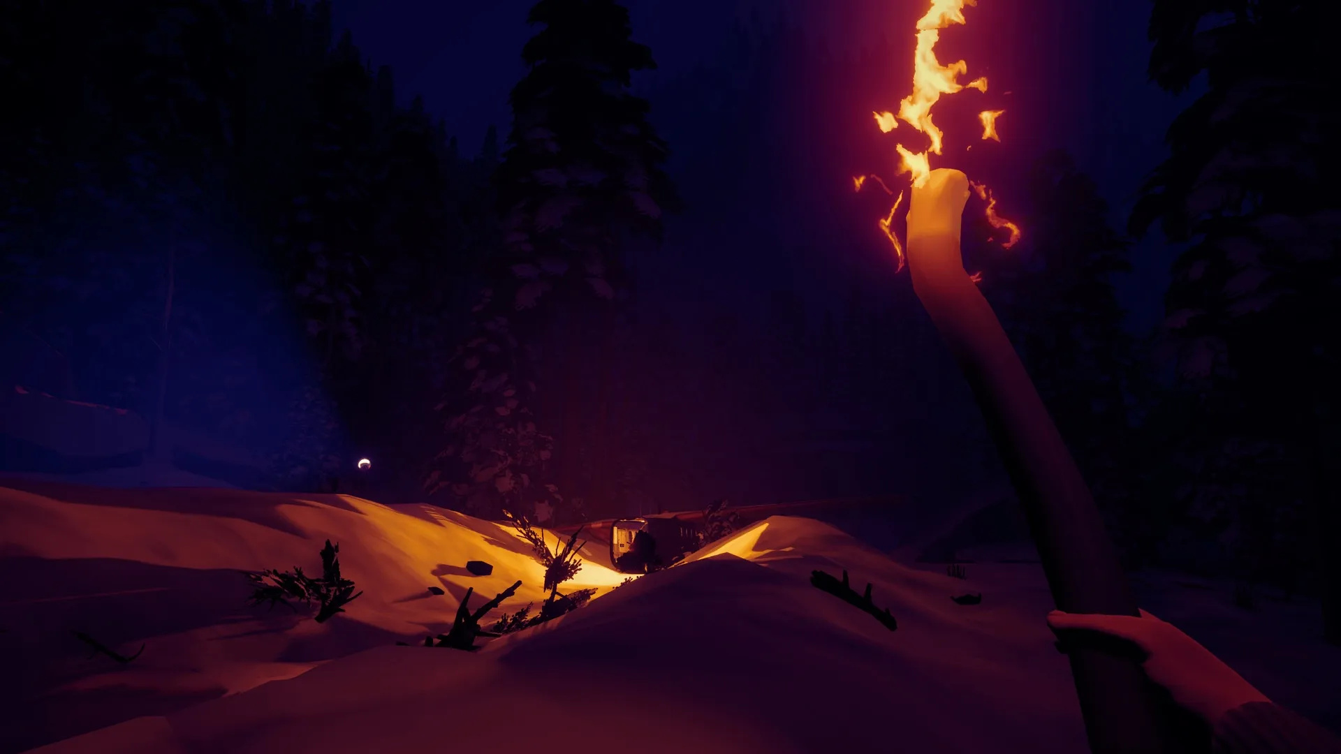 Arctic Awakening: Player holds torch in snowy forest at night, highlighting wreckage and surrounding trees