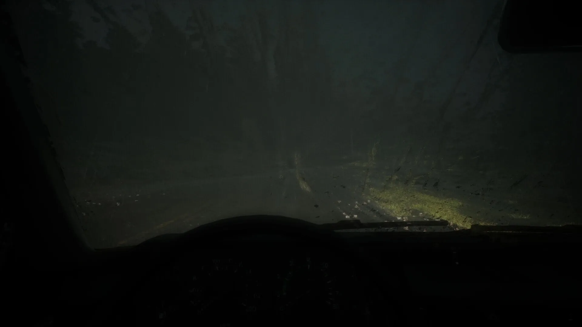 AUTO-CRISIS: Driving through dark, rain-soaked forest road at night with poor visibility in stormy weather
