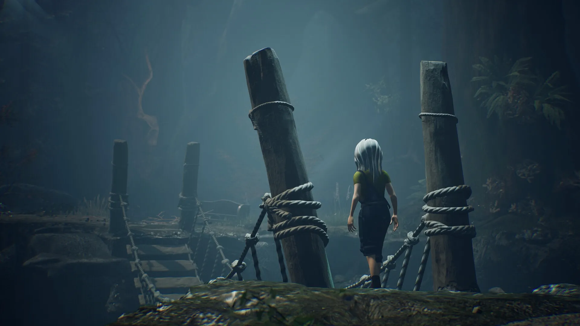 Ayasa: Character exploring misty forest path with rope bridge and towering wooden posts