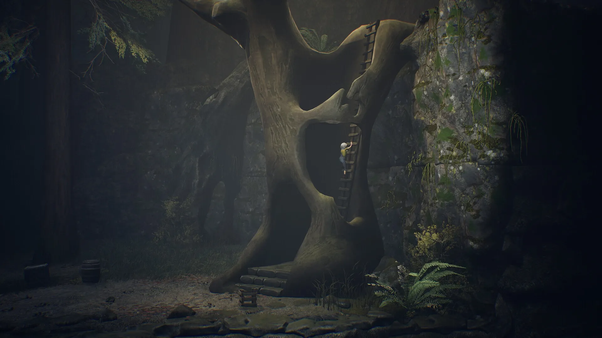 Ayasa: Character climbs ladder on large tree in eerie forest setting with mossy stone walls