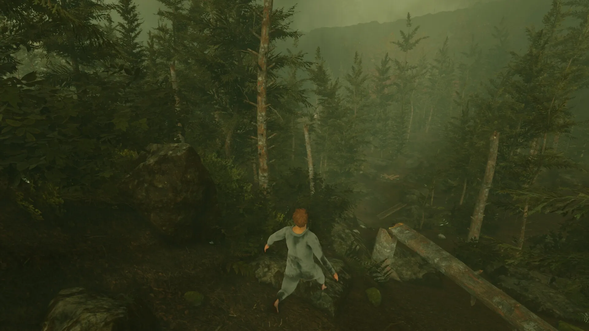 Baby Steps: Nate navigating a dense forest landscape with rocky terrain and towering trees
