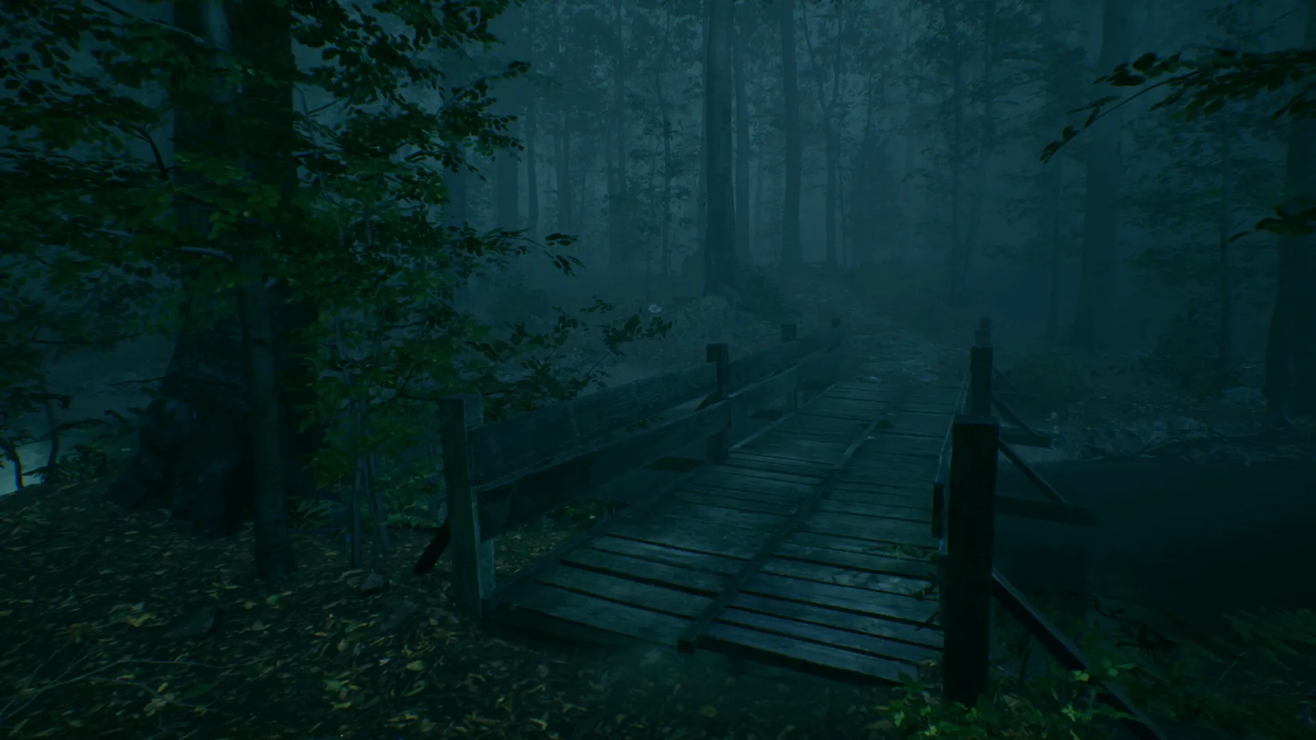 Baptiste: Wooden bridge crossing a foggy, dense forest setting with towering trees and dim lighting.