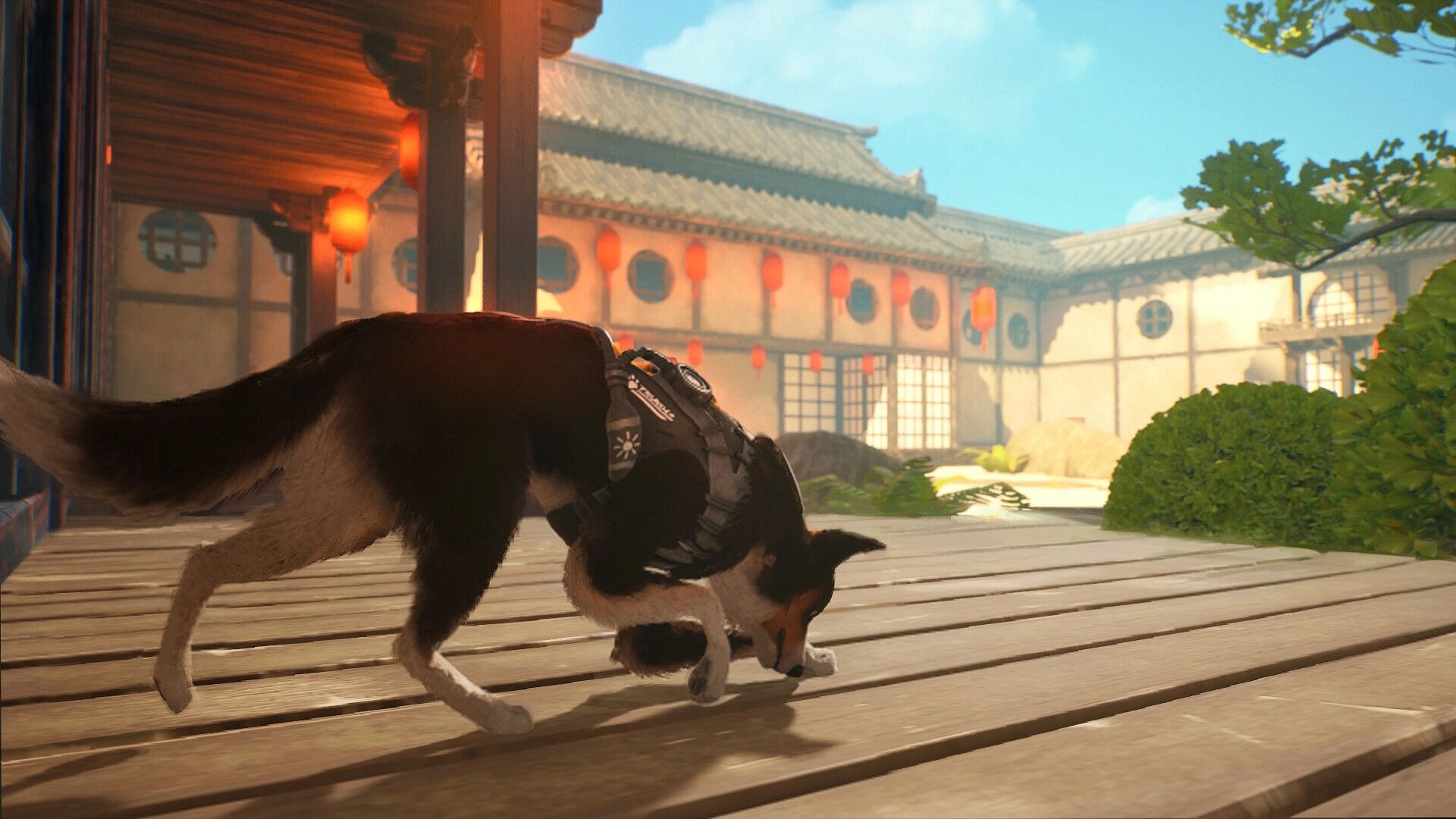 Barkour: Agent T.H.U.N.D.E.R. crouches low and sniffs a wooden deck in a lantern-lit courtyard temple.