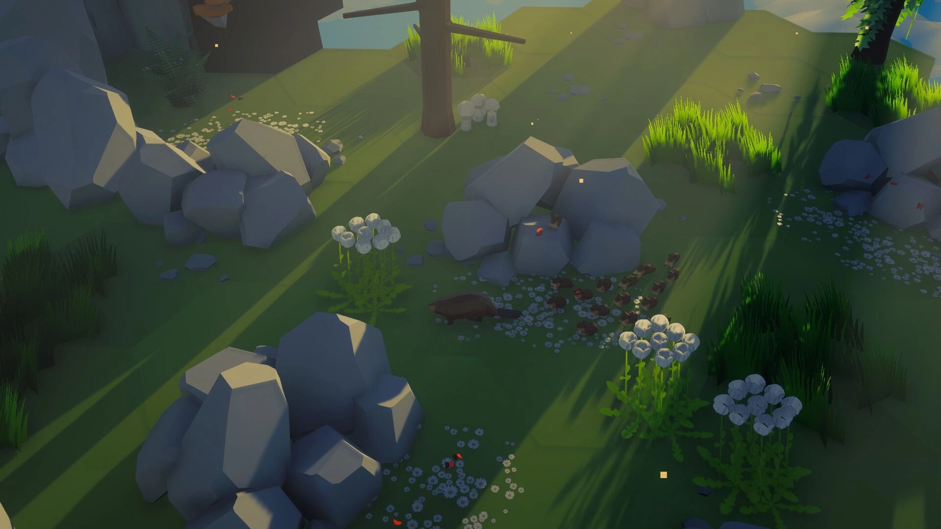 Beaver Creek: Beaver by scattered logs and rocks in a sunlit grassy clearing with wildflowers.