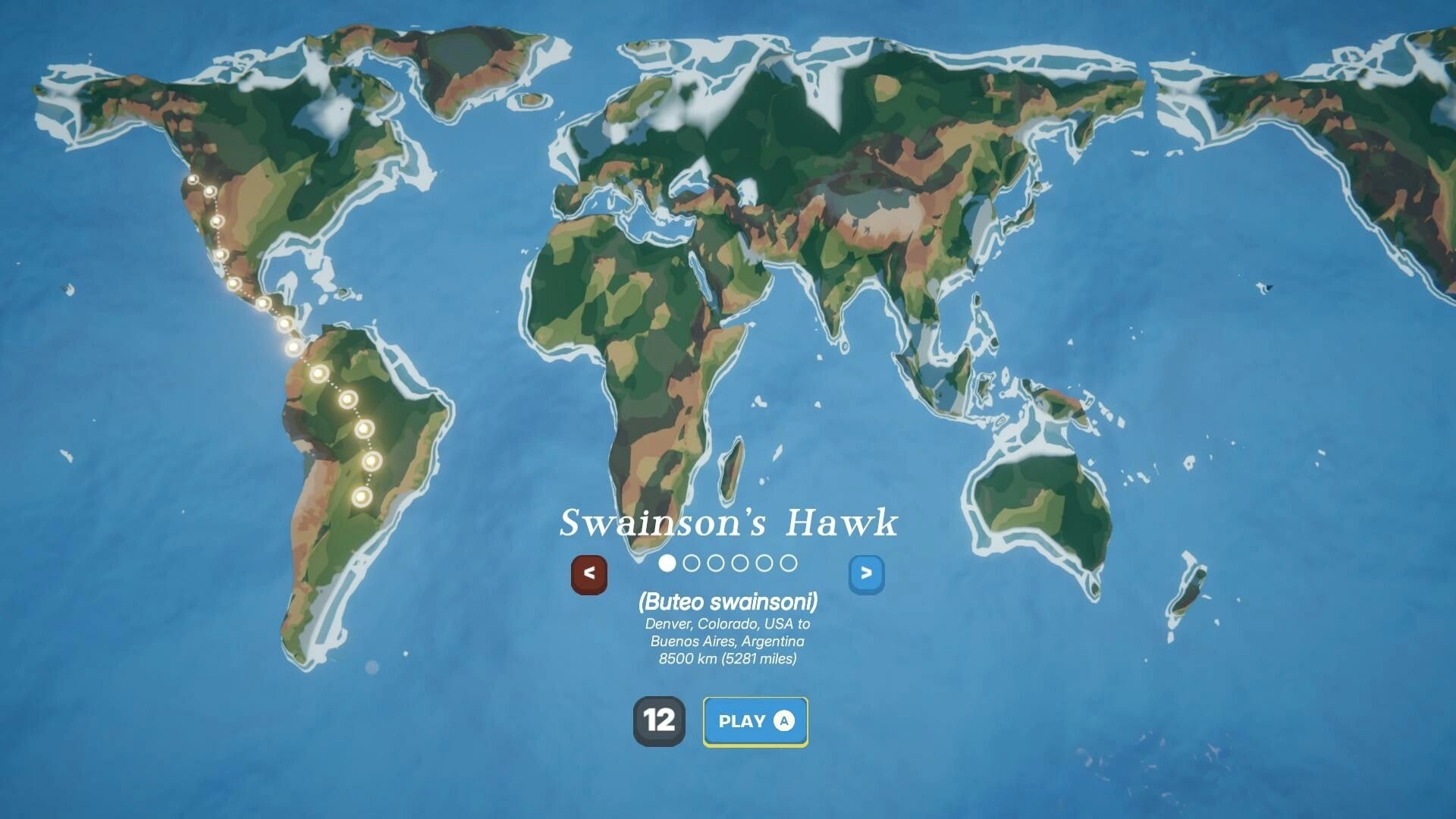 Birdigo: World map displaying Swainson's Hawk migration path with play button and info panel