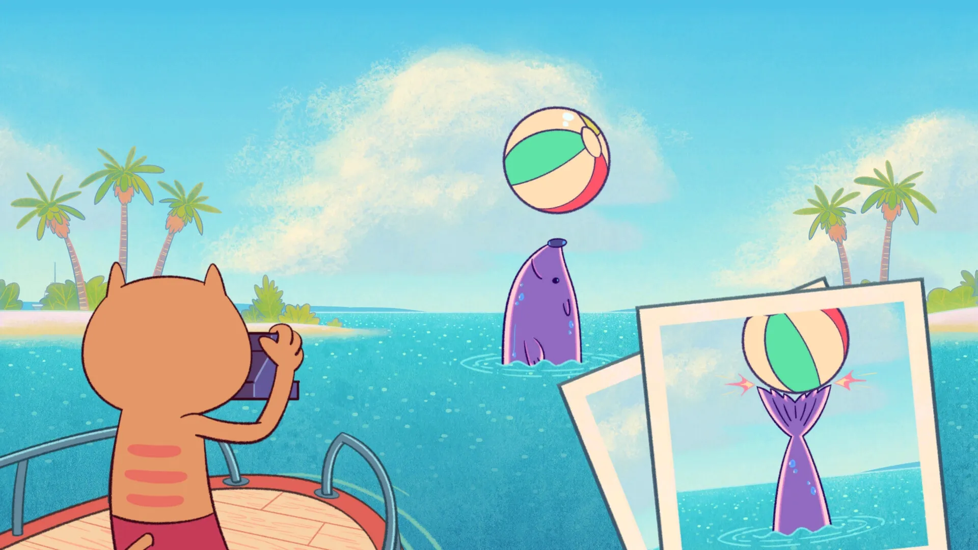 Bits & Bops: Cat photographing a seal balancing beach ball on nose from boat near tropical island