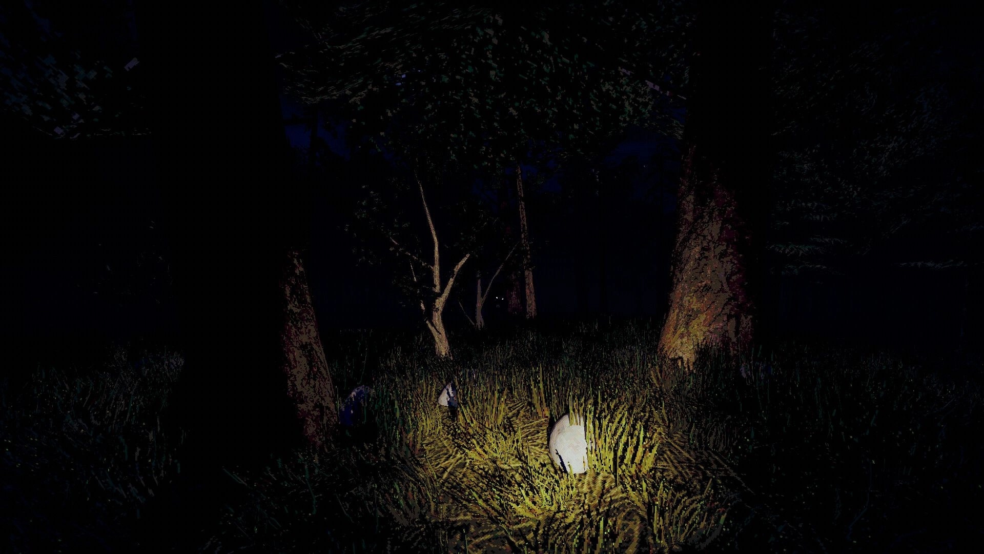 Blue Ridge Hunting: Flashlight illuminates eerie forest floor with scattered rocks in dark Appalachian woods