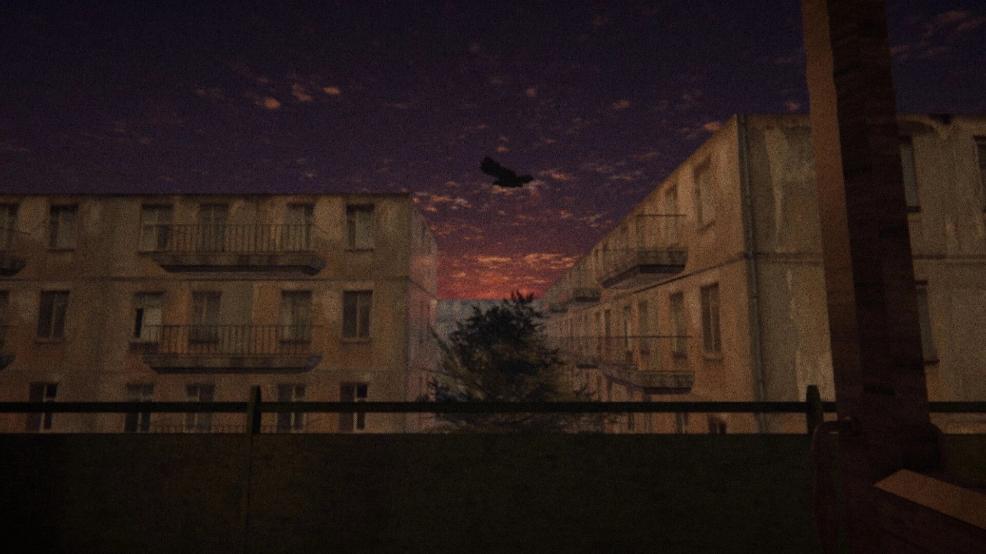 BREACHED: Looking out from a balcony at two bleak apartment blocks under a red dusk sky with birds.